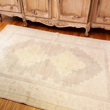 Load image into Gallery viewer, Betul - 3’7” x 5’4”