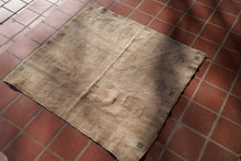 Load image into Gallery viewer, Esel - 2'10” x  3'1”
